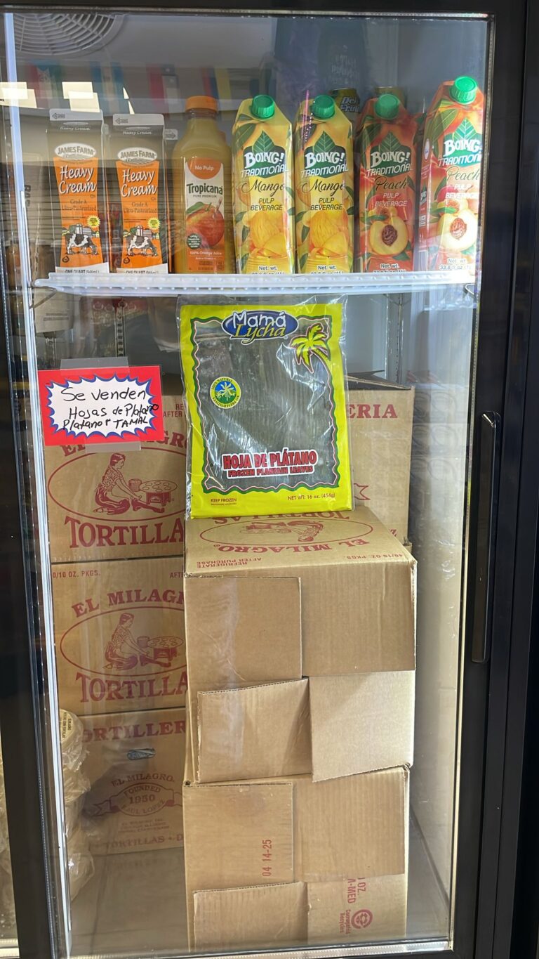 WhatsApp Image 2025-04-18 at 12.09.20 PM